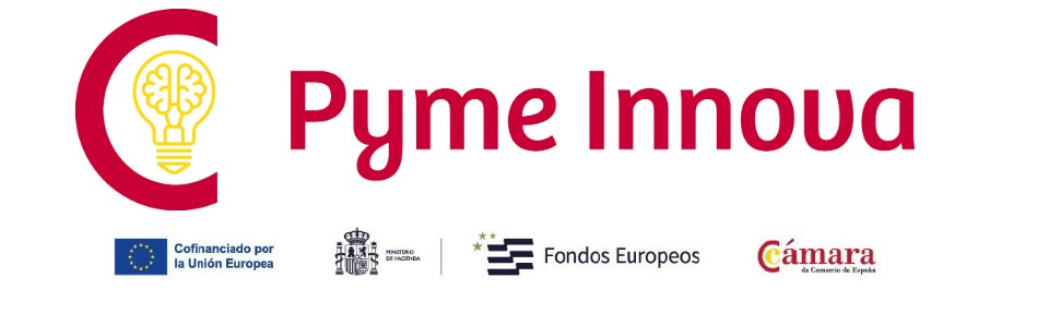 Pyme Innova — Cofinanciado por la Unión Europea